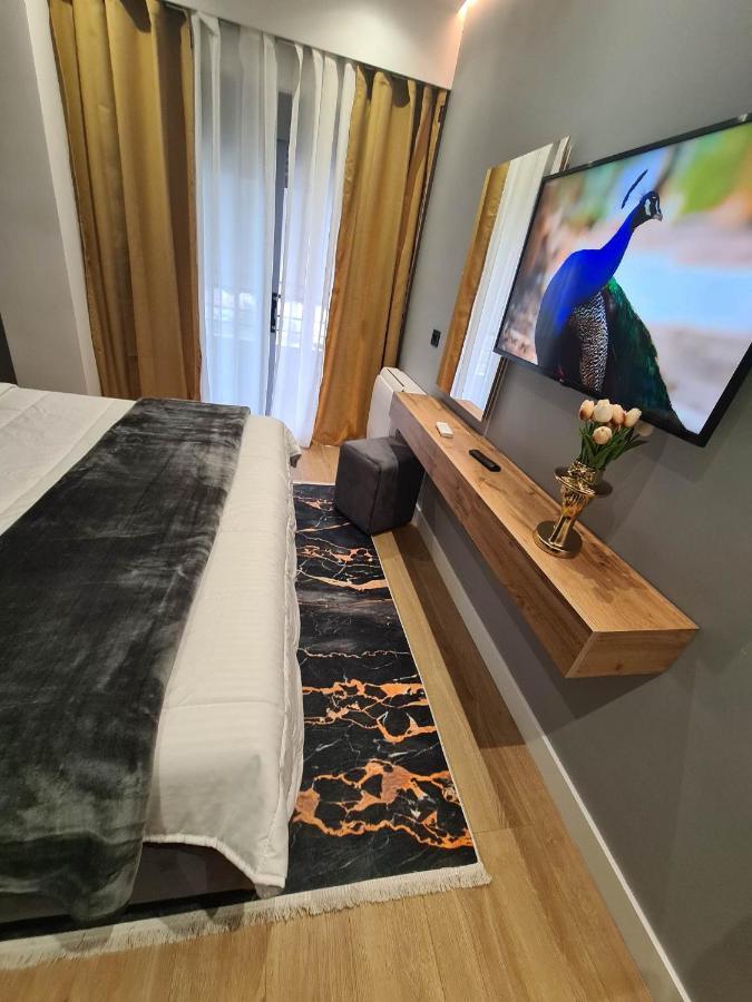 Grey Luxury Apartment Gjirokastër Esterno foto